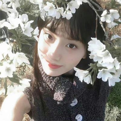 熊出没之秋日团团转